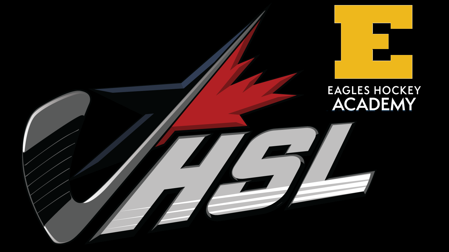 Eagles Hockey Academy site by RAMP InterActive
